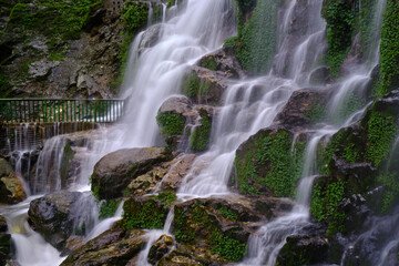 Gallery Image 10